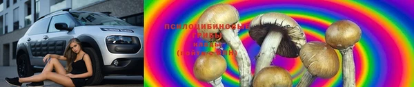 марки lsd Белокуриха