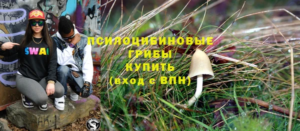 марки lsd Белокуриха