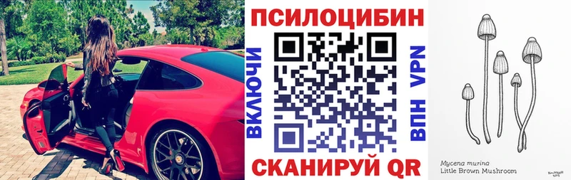 Купить закладки  Ардатов  Псилоцибиновые грибы Magic Shrooms 